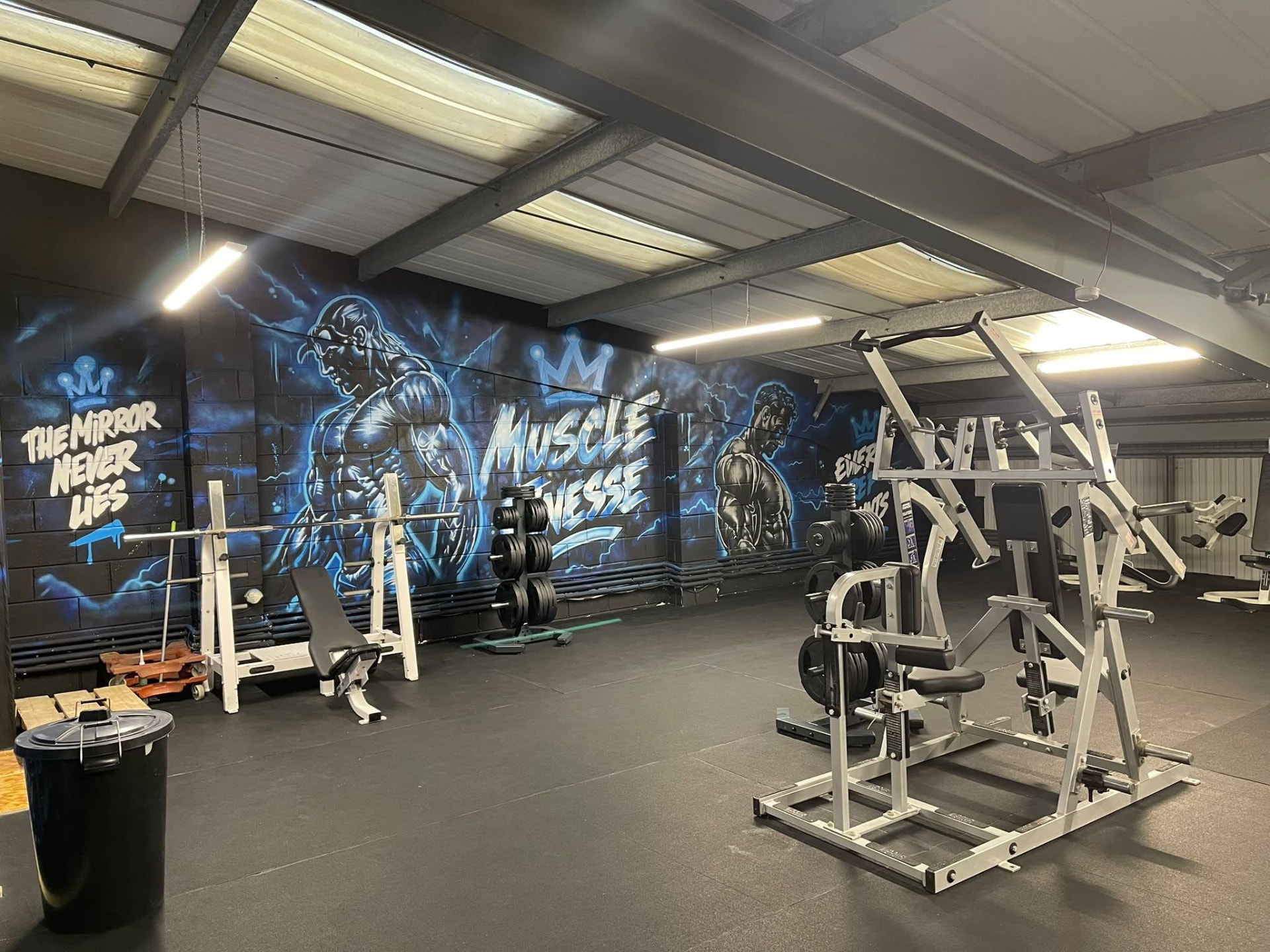 Free Weights & Strength