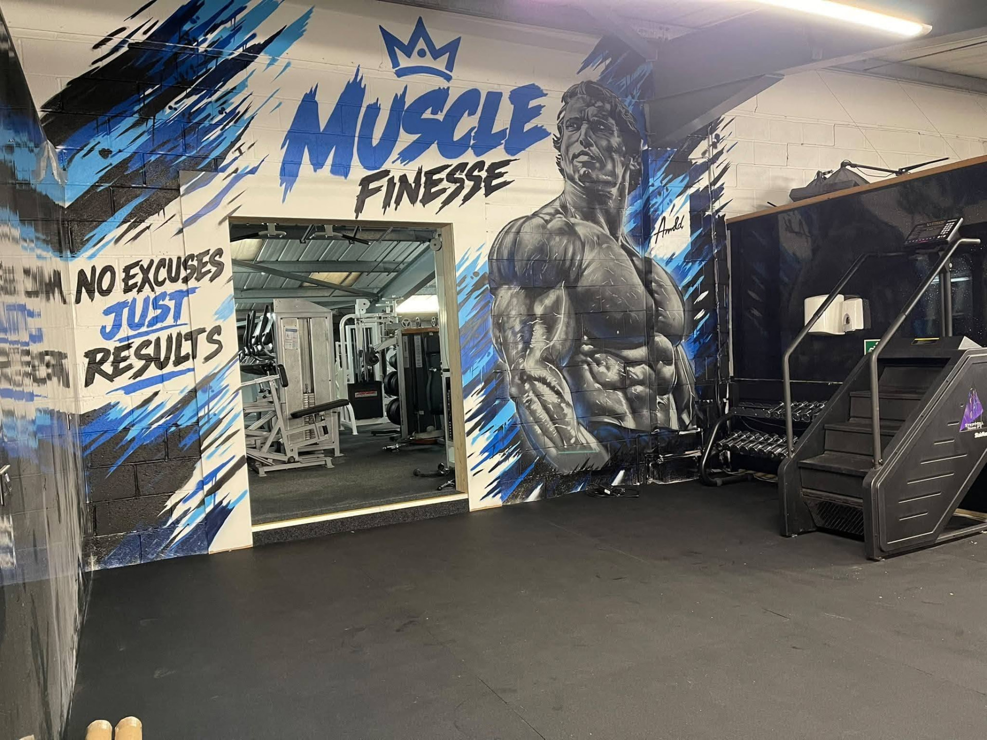 Muscle Finesse gym mural and training floor